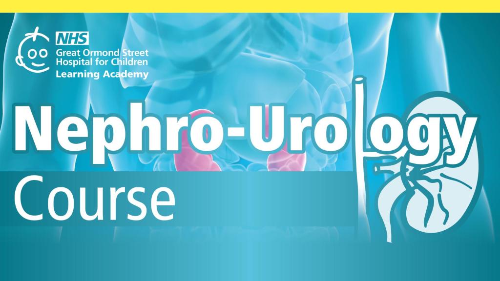 Annual Nephro Urology Course